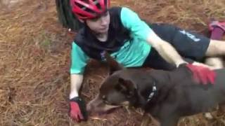 MTB Dog Racing - Hamish Hunt Bike Wheels Australia screenshot 4