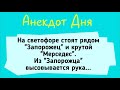 Анекдот Дня! Мужик в Запорожце и Мерседес! Юмор! Смех! Позитив!