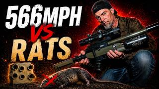 People Laugh At .177 Airguns… Until They See THIS 😳