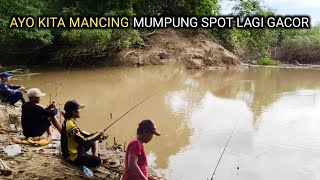 Download Lagu Lagi musim ikan bermigrasi..!! Pemancing silih berganti berdatangan berburu strike MP3 Download Lagu Lagi musim ikan bermigrasi..!! Pemancing silih berganti berdatangan berburu strike MP3