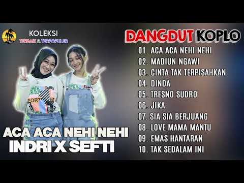 LAGU DANGDUT KOPLO TERBARU FULL ALBUM INDRI X SEFTI, ACA ACA NEHI NEHI, MADIUN NGAWI
