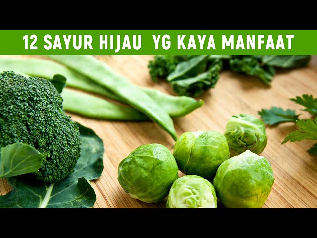 12 SAYUR HIJAU YANG KAYA MANFAATNYA UNTUK KESEHATAN class=