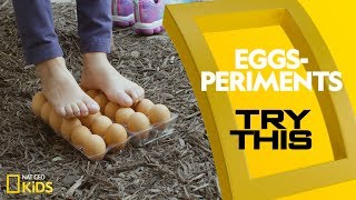 Eggs Experiments | Try This!