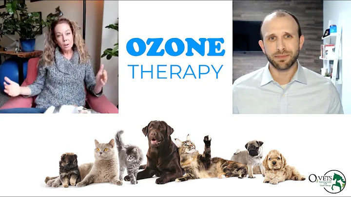 A brief introduction to ozone therapy for animals with Dr. Karen Becker and Jonathan Lowe
