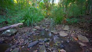 37 Koranba Place, Coorabell NSW 2479 | Helene Adams Property