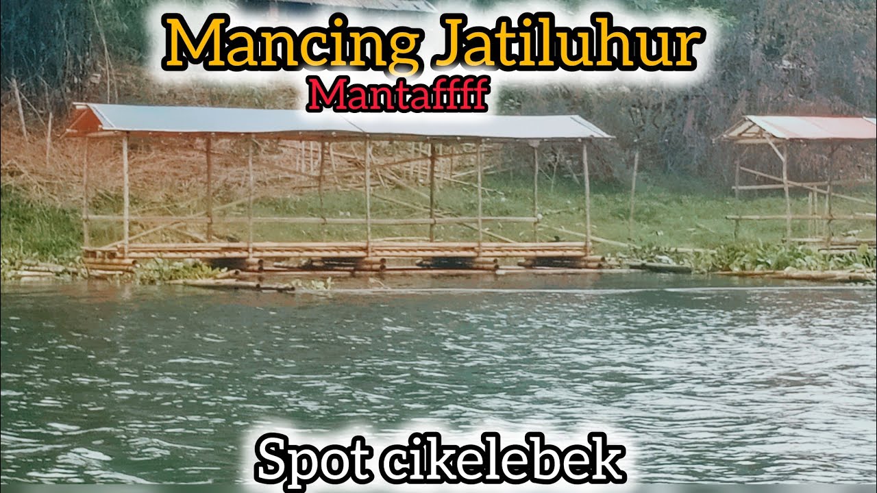 🔴MANCING JATILUHUR SPOT CIKELEBEK