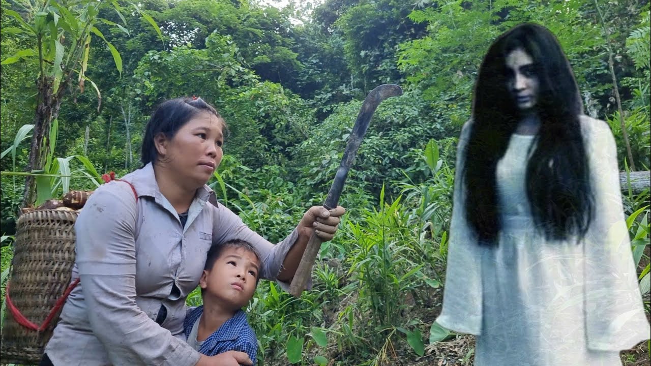 Single mother in danger in the forest - Harvesting taro to sell - YouTube