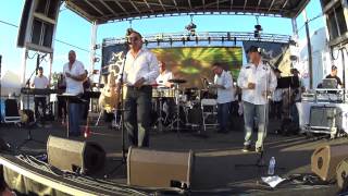 Famous David Lucca y Los clasicos de la Salsa, Profile