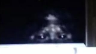 Analysis of the Scott Yeoman Sasquatch Photos BIGFOOT SASQUATCH