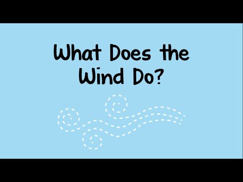 Video: Wat erft de wind?