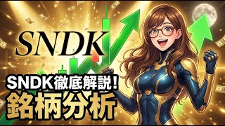 【銘柄分析】SNDK (Sandisk) 決算：売上23%増でも利益激減のなぜ？スピンオフ後の真実