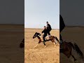 Ride Along With Me: Unleash the Fun on Horseback! HorsebackRidingAdventure
