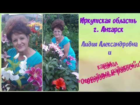 Вопрос: Нужно ли пересаживать многолетние цветы?