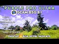WOW❗BENERAN MANTAP NIH,GCAM BSG 8.1,CONFIG PURPLE PRO ULTRA,HASILNYA JUARA🏅