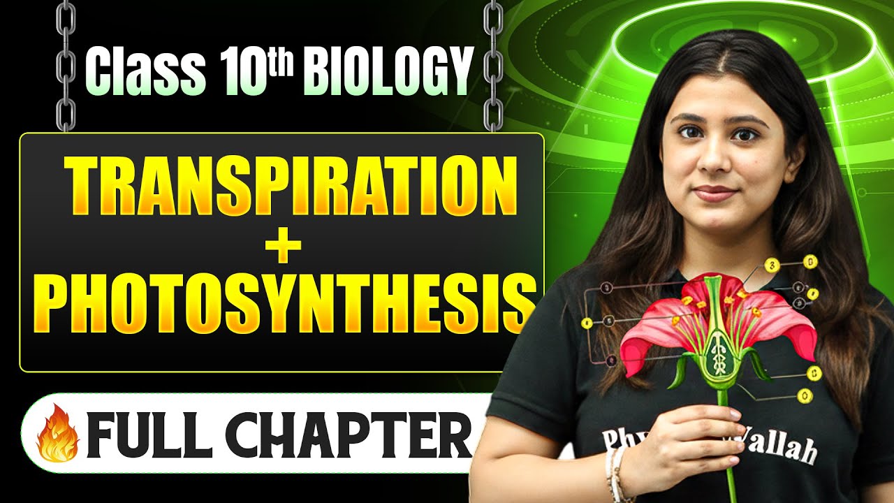 Transpiration And Photosynthesis Complete Chapter in One Shot | Class 10 Biology | ICSE Board