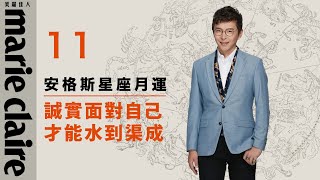 2025 11月星座運勢解析 【安格斯的星座月運】