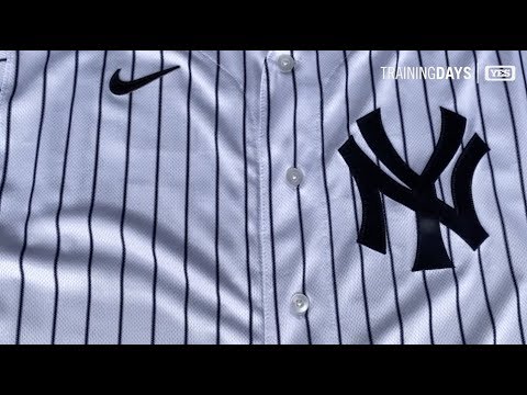 New York Yankees Pinstripe Script Shorts - Platypus