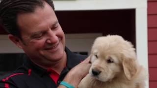FOX 5 News Atlanta - Working for You