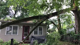 Tree Branches Collapsed On City Of Poughkeepsie House