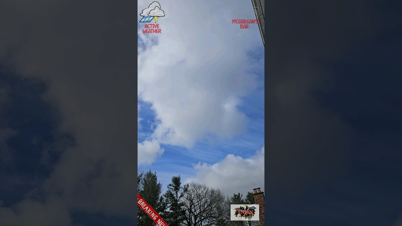 TNMN: From BLUE to GREY! 