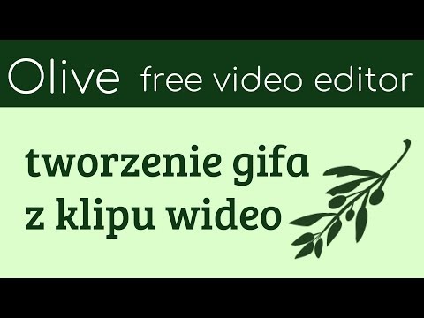 Wideo: Jak Zrobić Gif Z Wideo