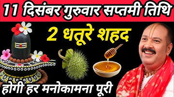 11 दिसंबर गुरुवार सप्तमी तिथि के दिन धतूरा और शहद वाला उपाय जरुर करें || panditpradeep mishra