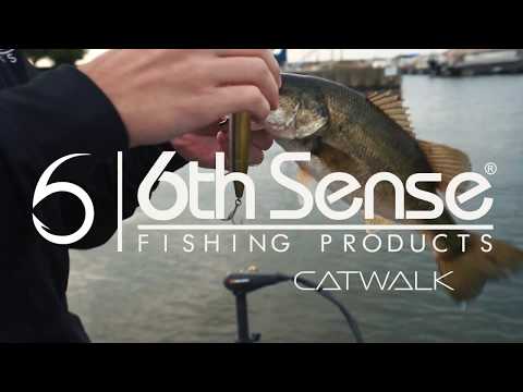 NEW! 6th Sense Catwalk Topwater 