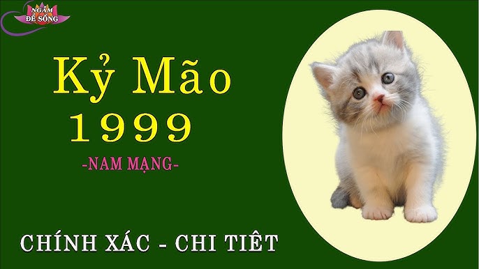 Tình Duyên Kỷ Mão 1999: Bí Quyết Tình Cảm và Sự Nghiệp Đầy Hứa Hẹn