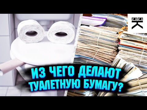 Из чего делают туалетную бумагу?