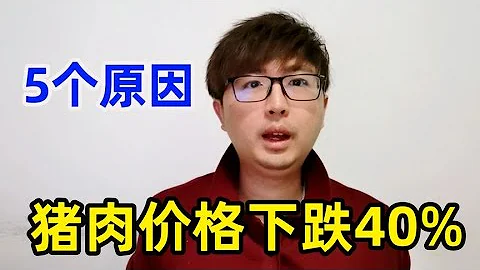 豬肉價格大降超 40%，為啥豬價「旺季不旺」？五個現實的原因 - 天天要聞