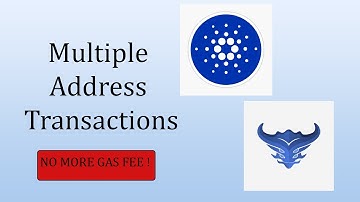 Save Cardano (ADA) transaction fee | Typhon wallet