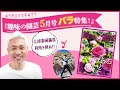 【趣味の園芸5月号】バラ特集をナナメ読み！中身をドドンとご紹介します！