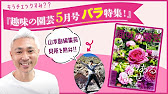 趣味の園芸5月号 バラ特集をナナメ読み 中身をドドンとご紹介します Youtube 趣味の園芸5月号 バラ特集をナナメ読み 中身をドドンとご紹介します Youtube
