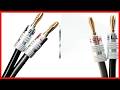Silverback Pre-Terminated Speaker Cable: Audiophile Quality Made Simple