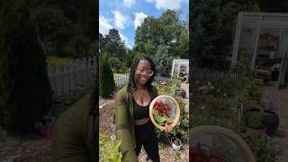 Harvest With Me: A Peaceful Morning in the Garden