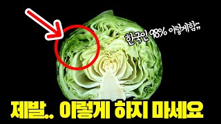 한국인 98%가 잘못 알고 있는 농약 제거! 이 것만 있으면 됩니다. 채소 세척은 이렇게 하세요