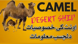 Camel Facts in hindi/urdu/اونٹ کی خصوصیات