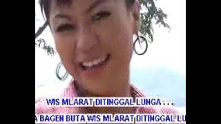 SETAN GUNDUL diana sastra @ lagu tarling