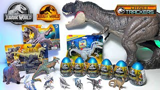 HATCHING New Jurassic World Dinosaurs Eggs! Dino Trackers Giganotosaurus, Ornithocheirus, Indoraptor