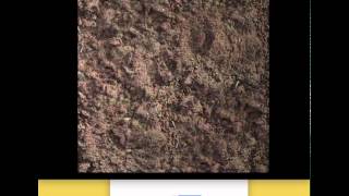Unity Drag and Drop Texture and Normal Map Loading