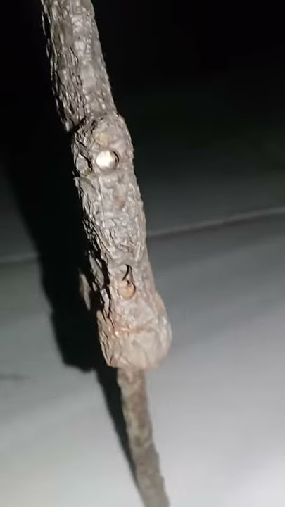Keris berdiri sendiri