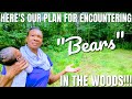 You see a bear in the woods heres what you do  turning raw land into a beautiful homestead