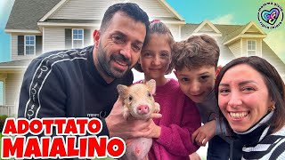 VLOG! MAMMAGIULIA HA ADOTTATO UN MAIALINO NANO! FIGLIACHIARA E FIGLIODIEGO NON LO SANNO! SORPRESA!