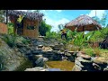 15th day at the farm, Repair and restore the abandoned farm for a long time - Lý Mai Farmer
