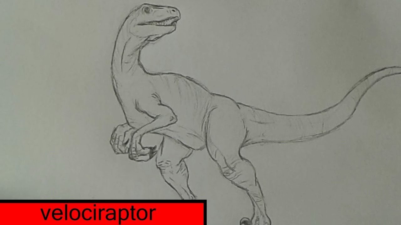 Como desenhar um Dinossauro Velociraptor 