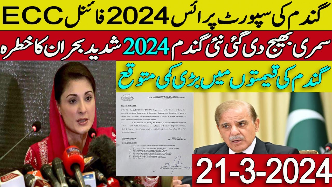 wheat support price in punjab 2024 - SarSon munji makki new rates 2024 ...