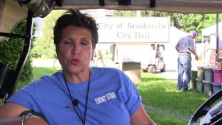 2014 Florida Blueberry Festival in Brooksville