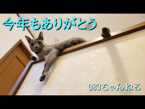 ♪今年の動画～今年のうっちいに～の巻～！