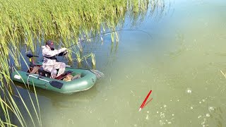 Download Lagu IN A MUDY POND...THE BIG FISH TURNS THE BOAT, BENDS THE ROD, PUSHES THE FLOAT! Fishing 2025 MP3 Download Lagu IN A MUDY POND...THE BIG FISH TURNS THE BOAT, BENDS THE ROD, PUSHES THE FLOAT! Fishing 2025 MP3