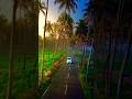 බලන්න ඒ පාරේ ලස්සන🌎 🌿😍 | mind relaxing | youtubeshorts | viral